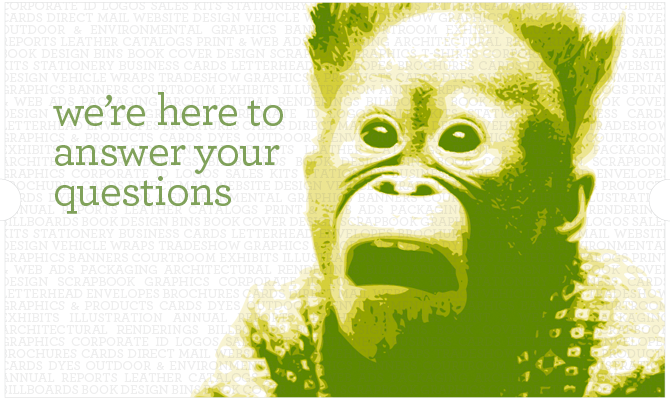 Contact Helius Creative